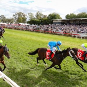 04-albury-gold-cup-2015-sdph1366-2