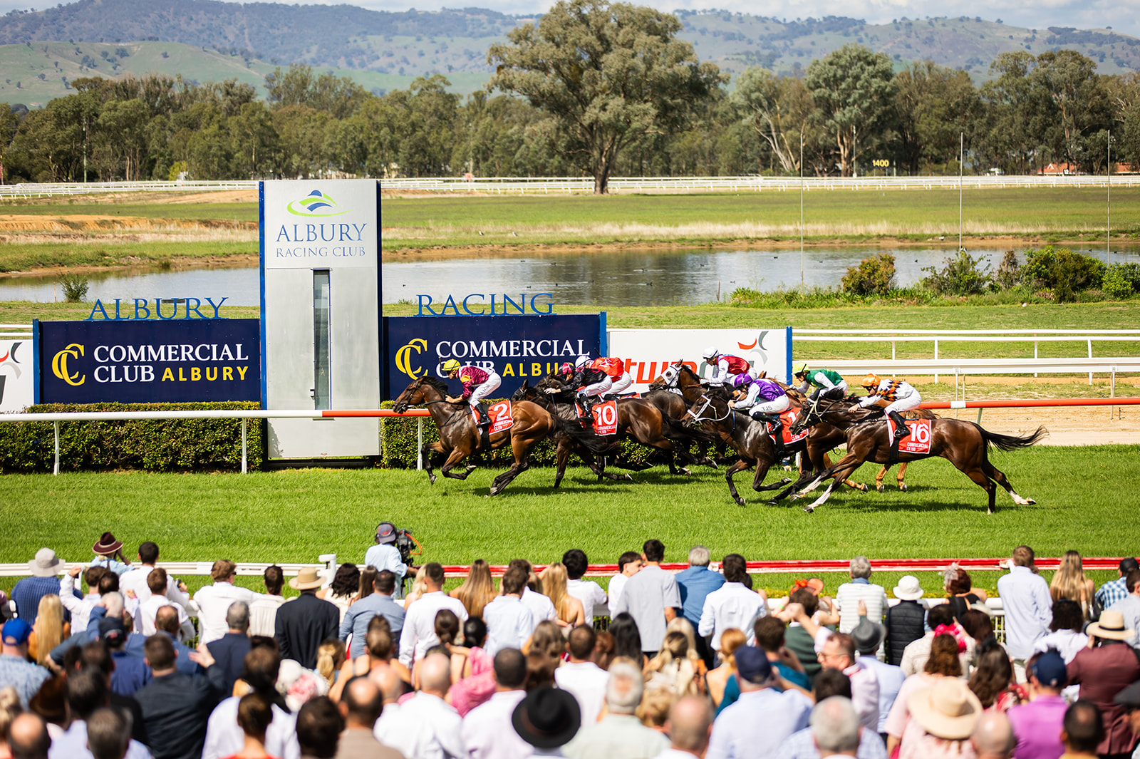 List Title List Title