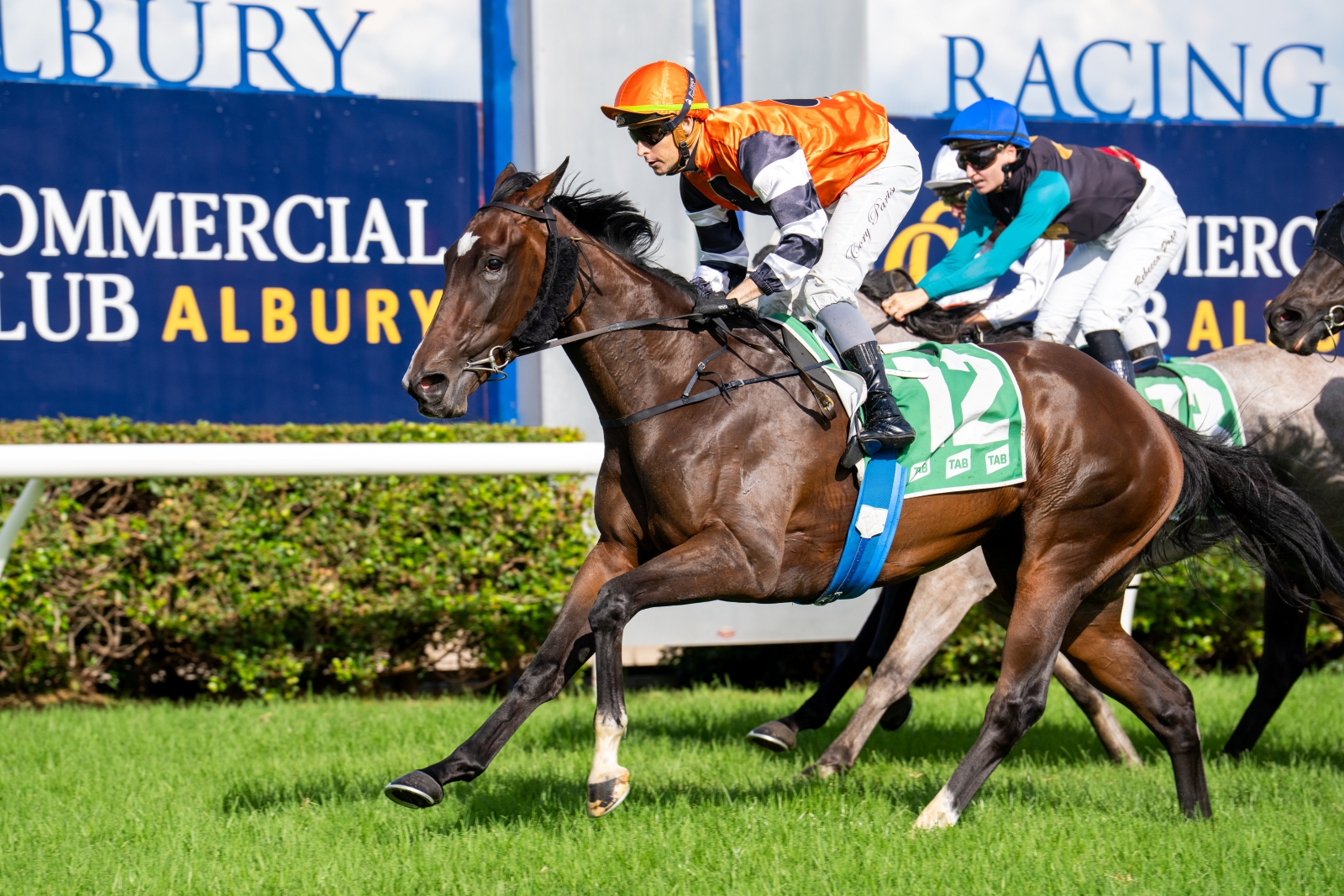 List Title List Title