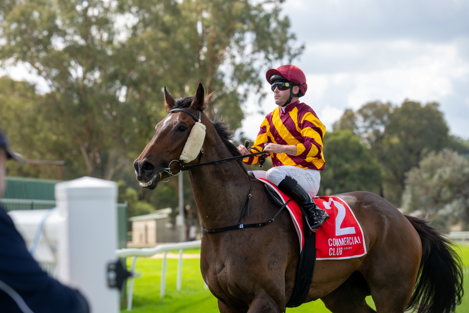 List Title List Title