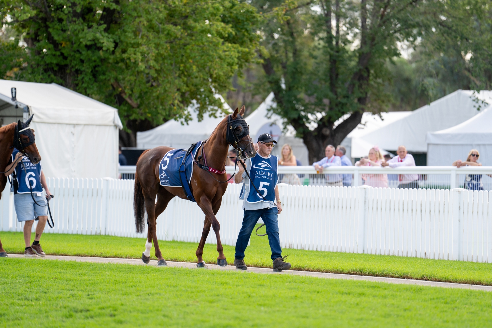 List Title List Title