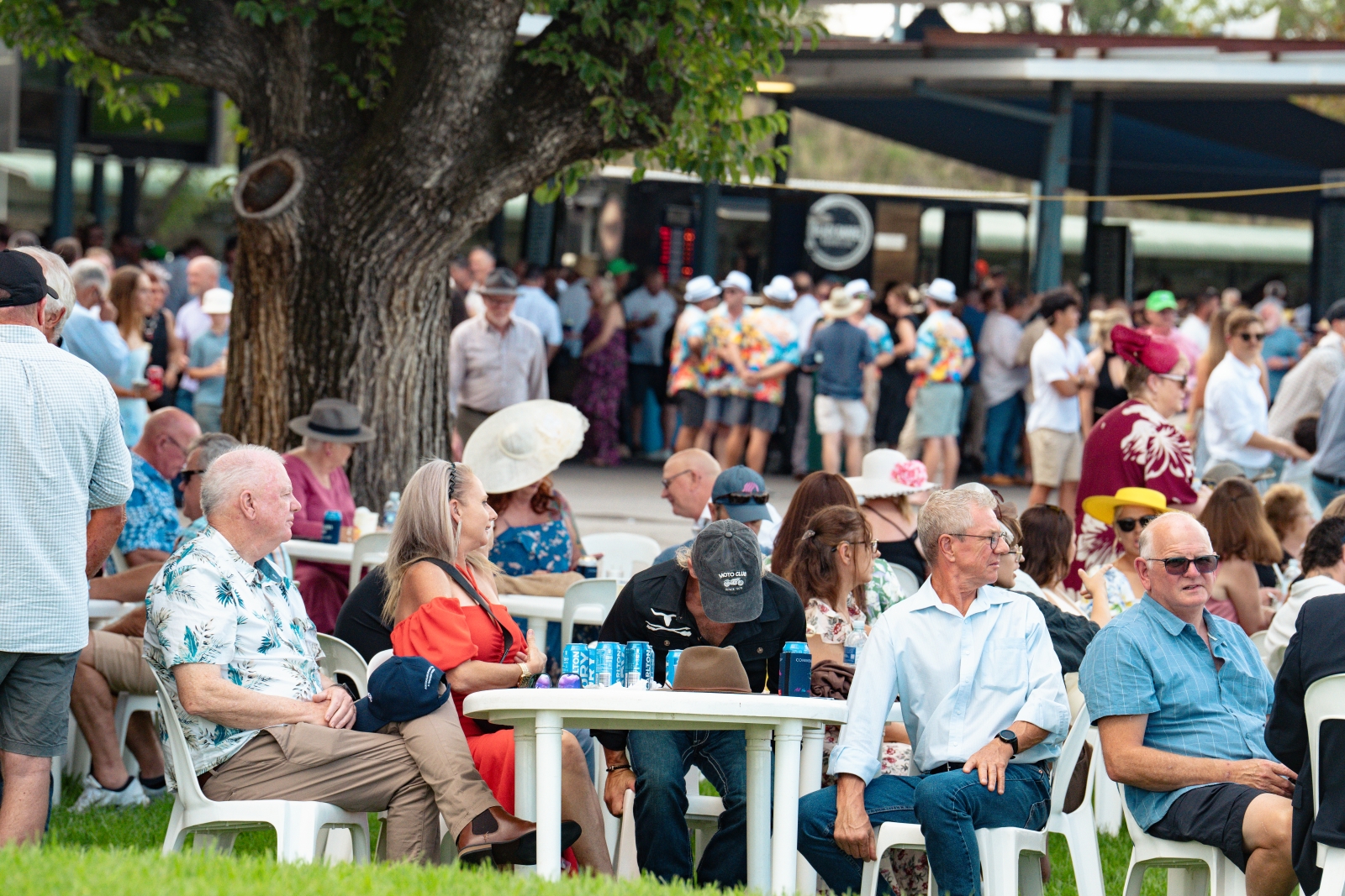 List Title List Title