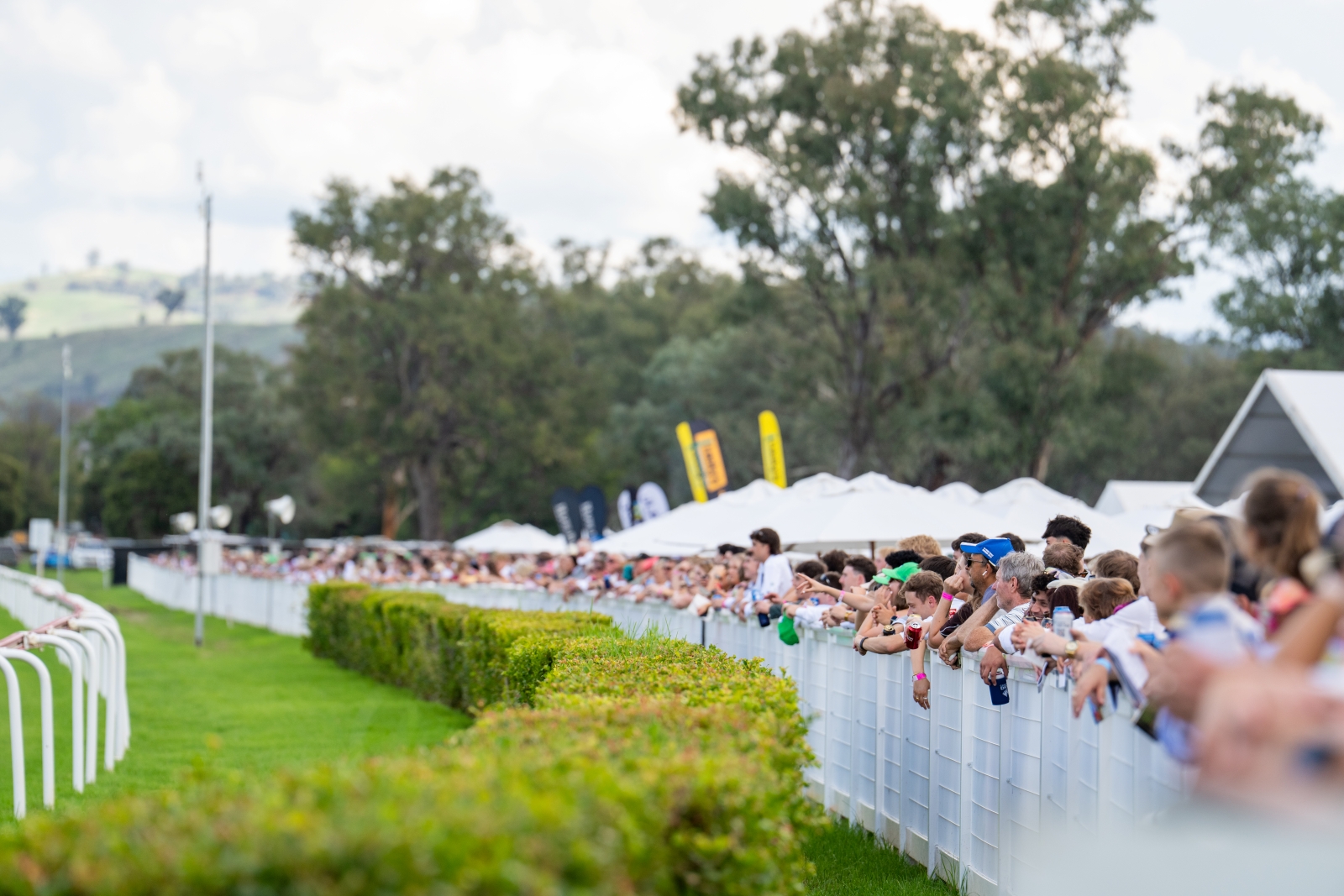 List Title List Title