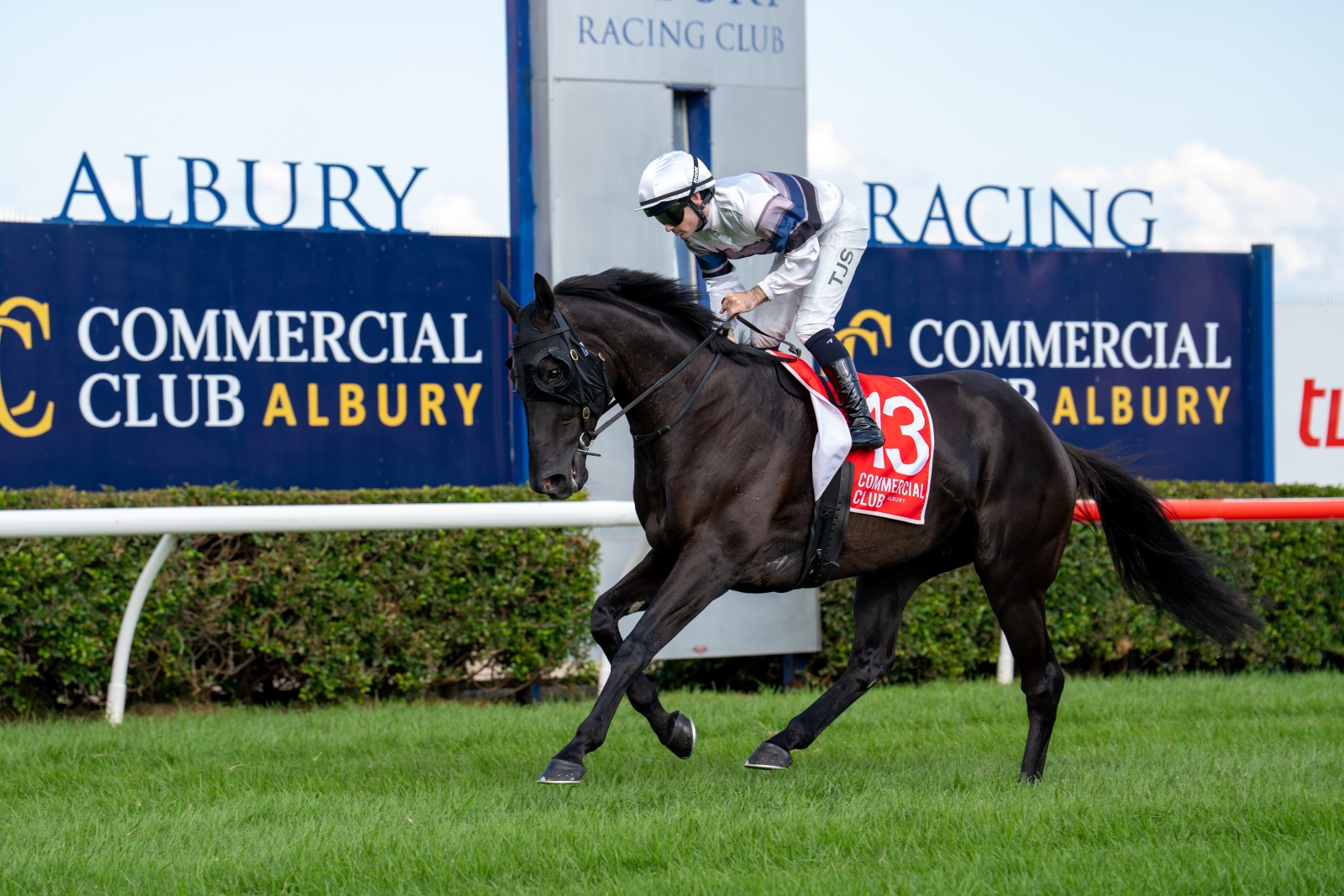 List Title List Title